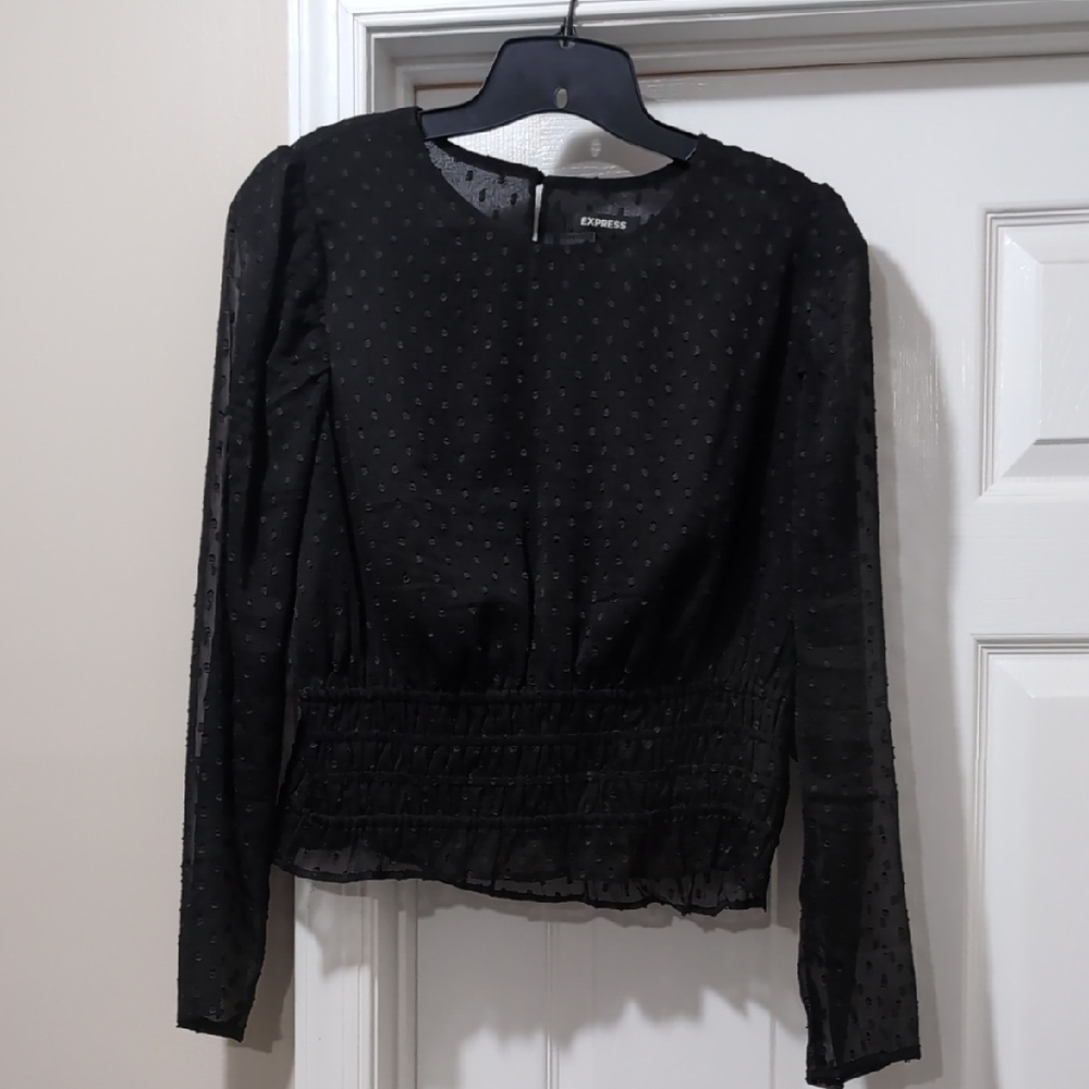Express Black Sheer Long Sleeve Blouse